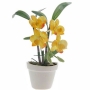 Декоративная композиция "Орхидея в горшочке", цвет: желтый, 16 см х 9 см Артикул: 4995 инфо 7318v.