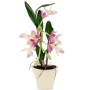 Декоративная композиция "Орхидея в горшочке", цвет: розовый, 18 см х 9 см Артикул: 4988 инфо 7347v.