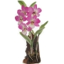 Декоративная композиция "Орхидея", цвет: розовый, 16 см х 9 см Артикул: 5017 инфо 7349v.