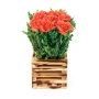 Декоративная композиция "Цветы на деревянной подставке", цвет: красный, 15 см Производитель: Великобритания Артикул: FF NX0452KA инфо 7361v.
