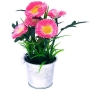 Декоративная композиция "Цветы в ведерке", цвет: розовый, 19 см Производитель: Великобритания Артикул: FF NX-62KG инфо 7386v.